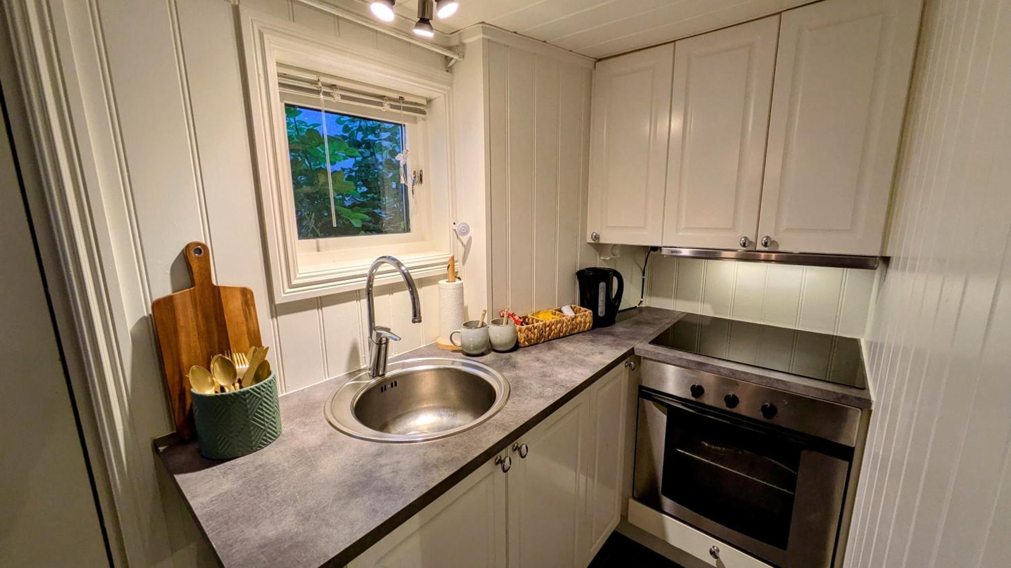 Exclusive And Cosy! Sea And Mountian View - Superfast Wifi, Washer And More Included Sortland Exterior foto
